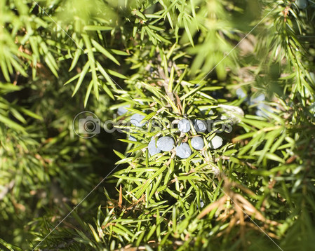 Scacciaspiriti In Metallo Nero - Campanelli Eolici Per Esterno, Portafortuna E Decorazione Da Giardino
