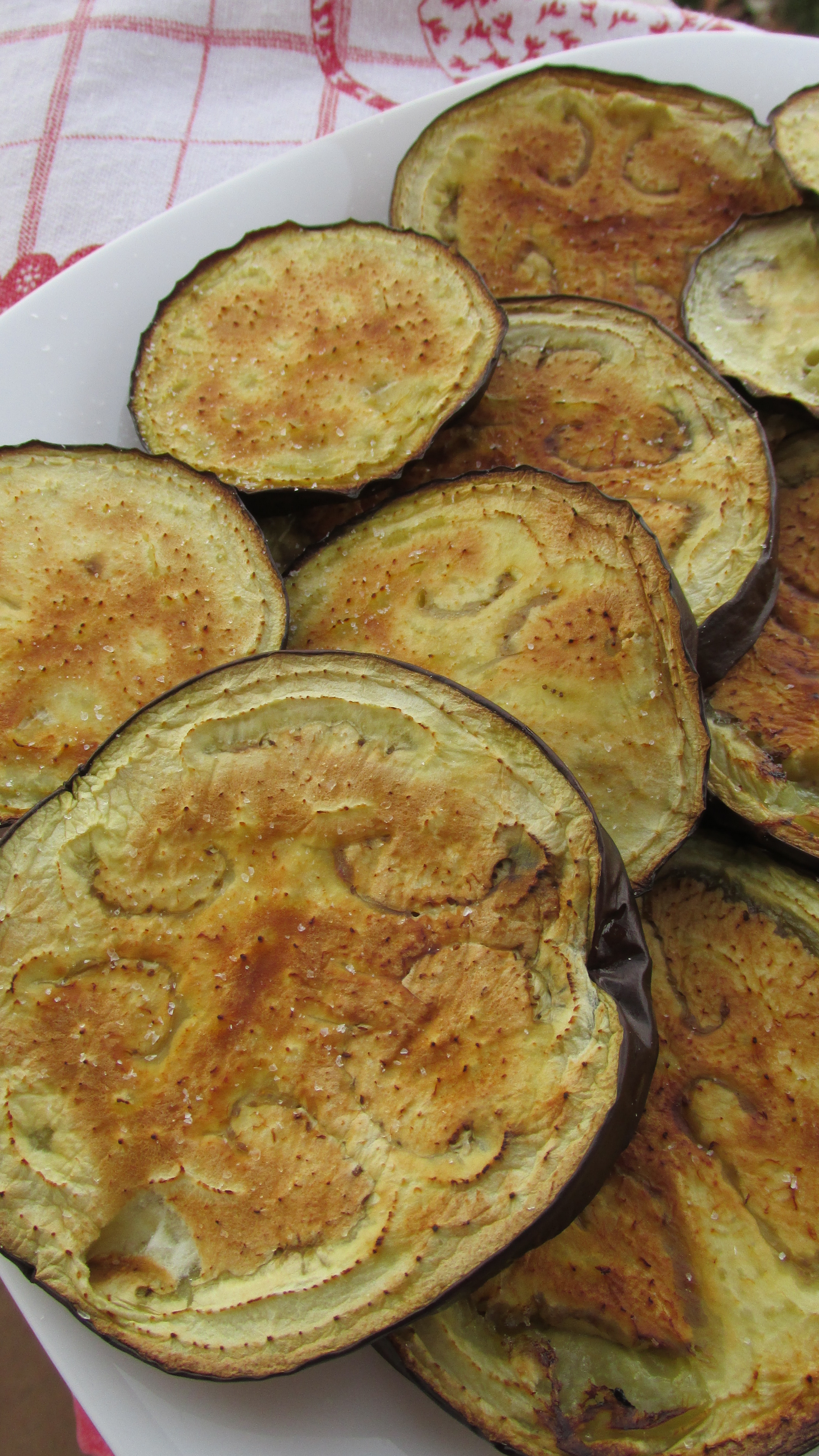 Melanzane grigliate…. al forno! Ricetta ed ingredienti dei