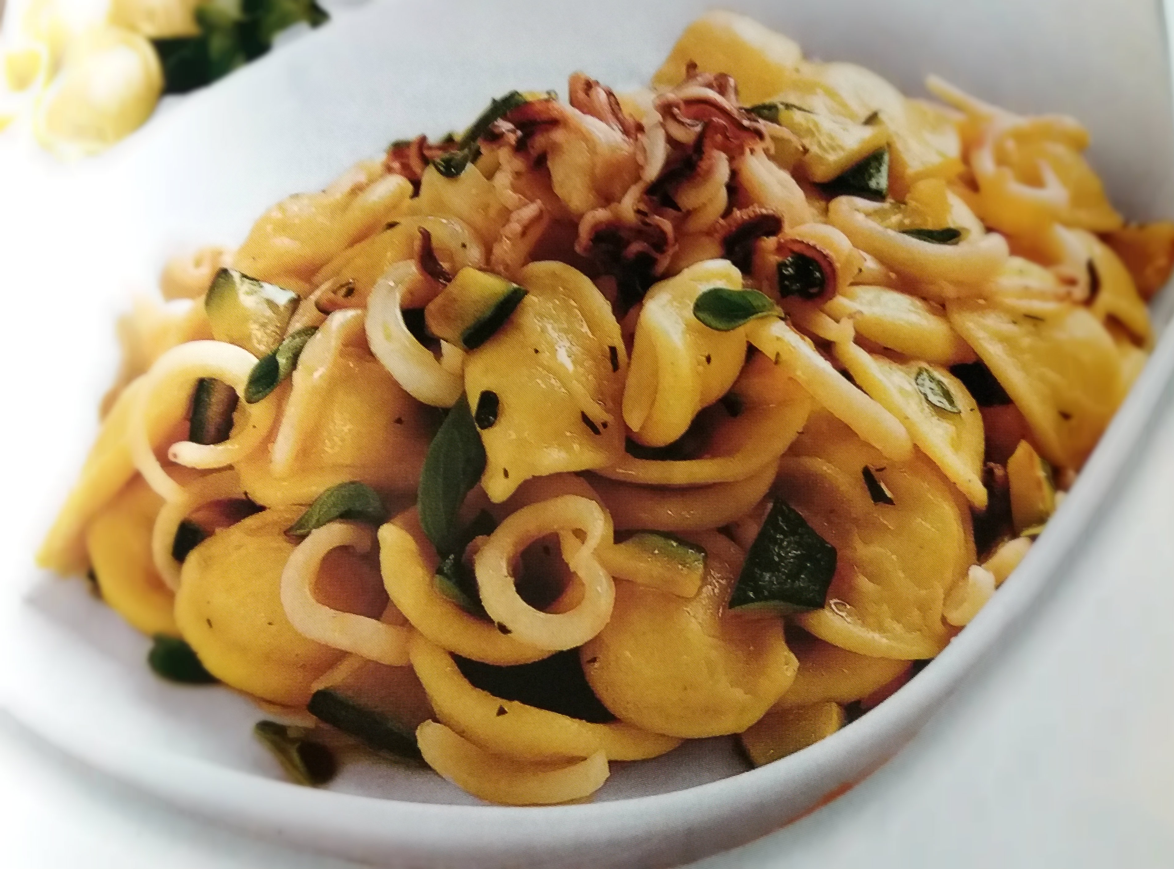 Orecchiette con calamari e zucchine Ricetta ed ingredienti dei